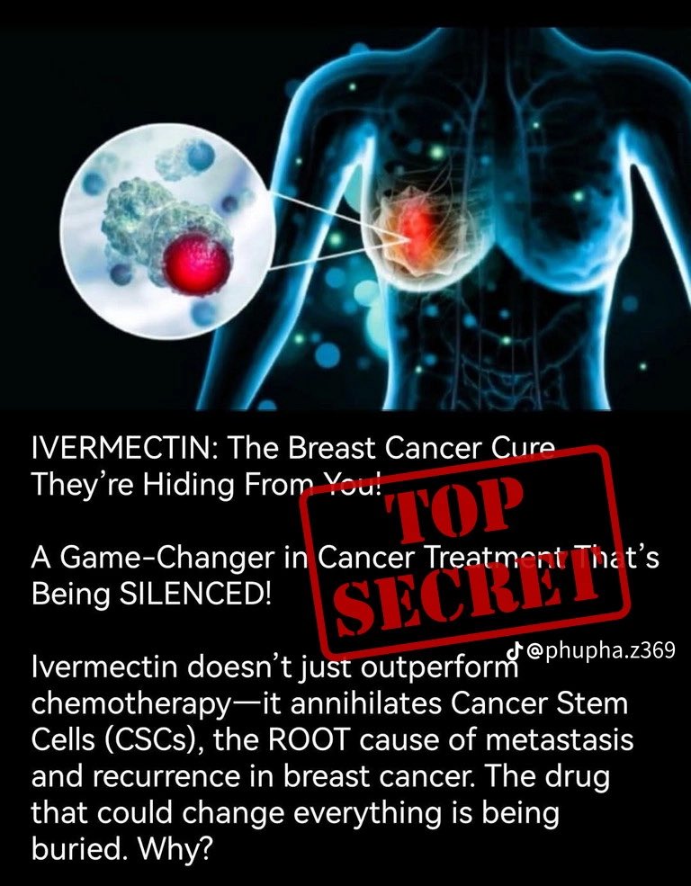 Diana PATRIOTS ARE UNITED❤️🇺🇸❤️🙏 tweet media