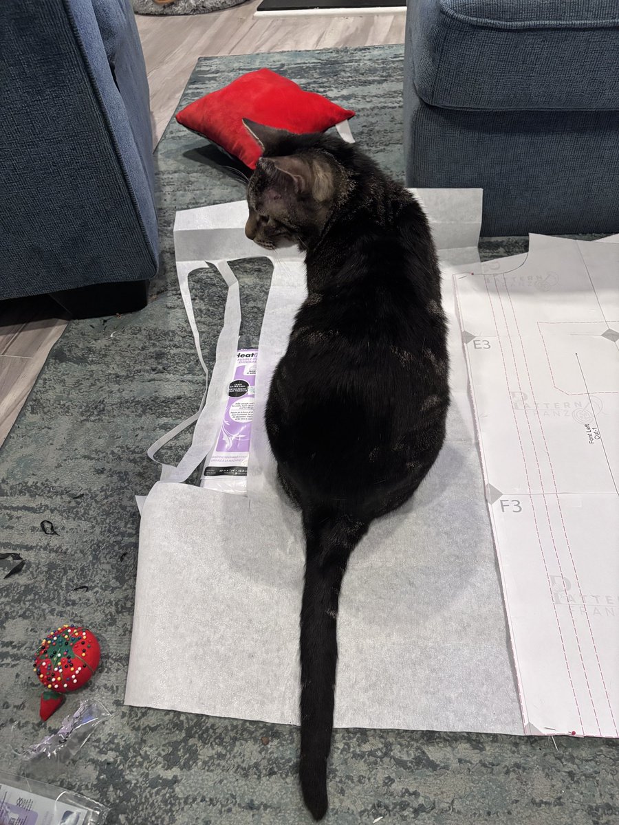 dev! 🌈 tweet media