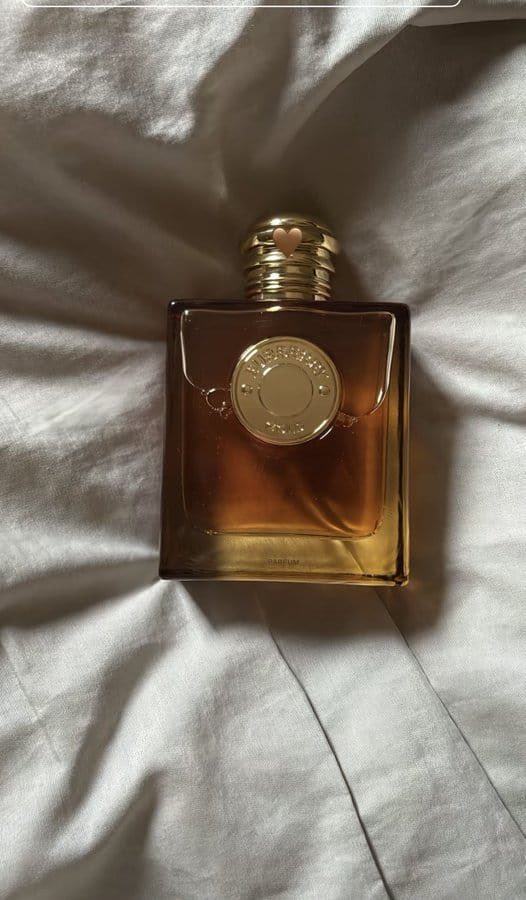 تغذية أدبية tweet media