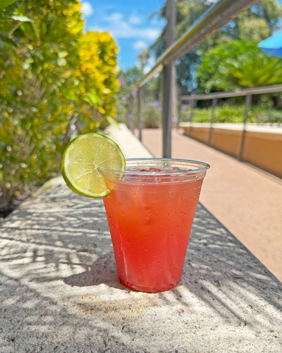 Floridays Resort tweet media