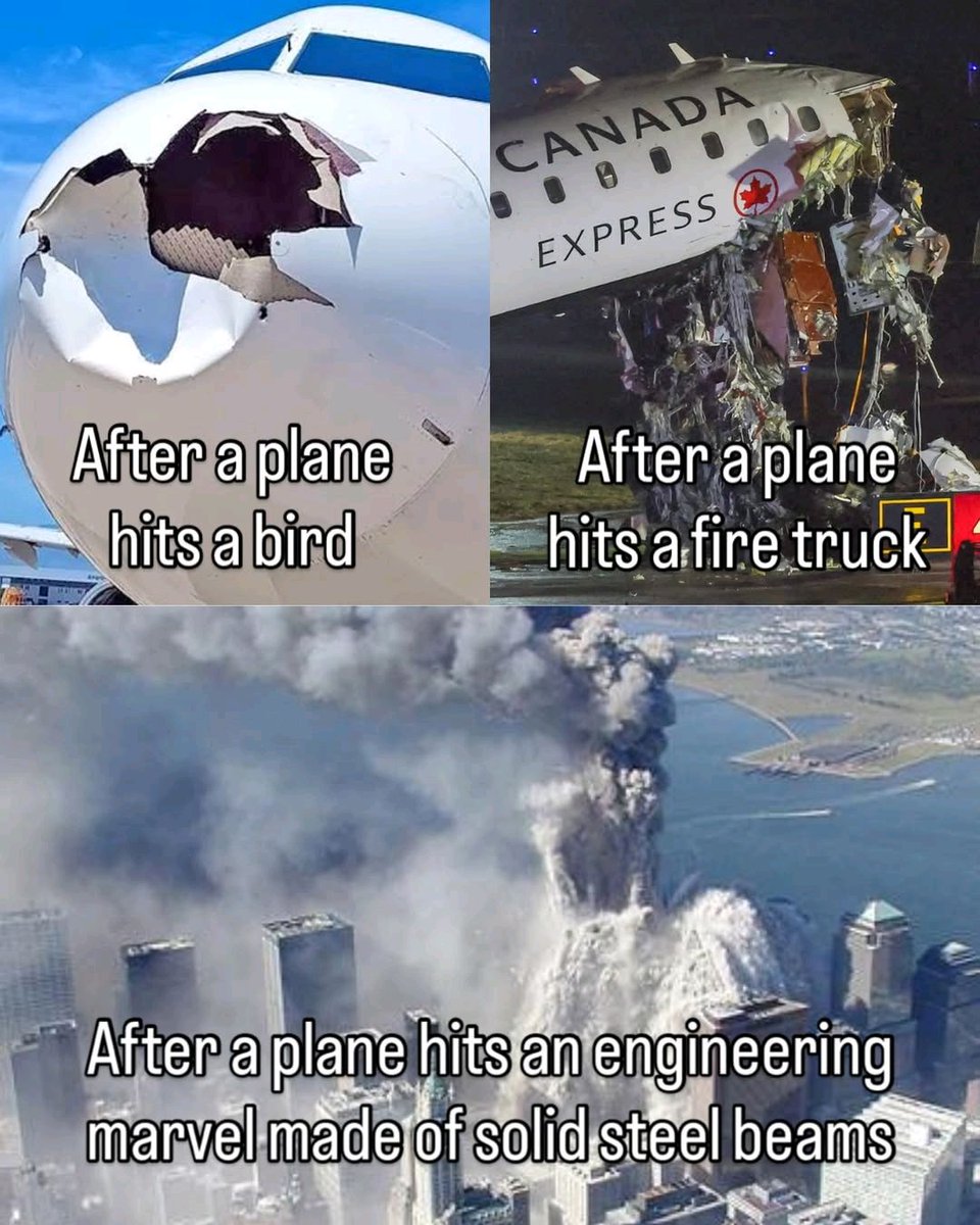 Mr. Star Spangled MAGA tweet media