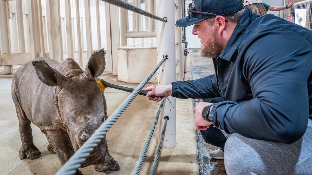 Kansas City Chiefs tweet media