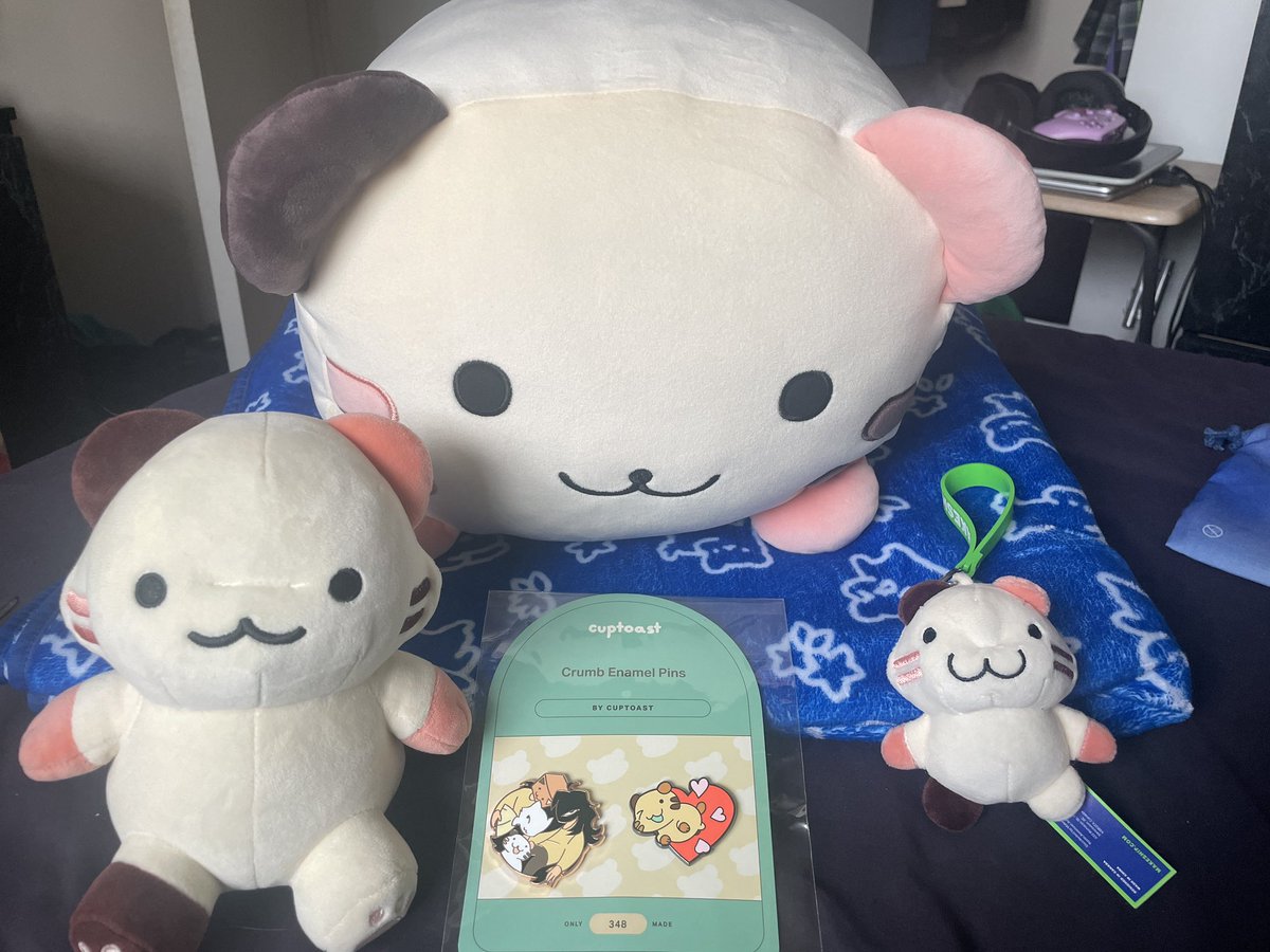 candycashews 🇵🇸 tweet media