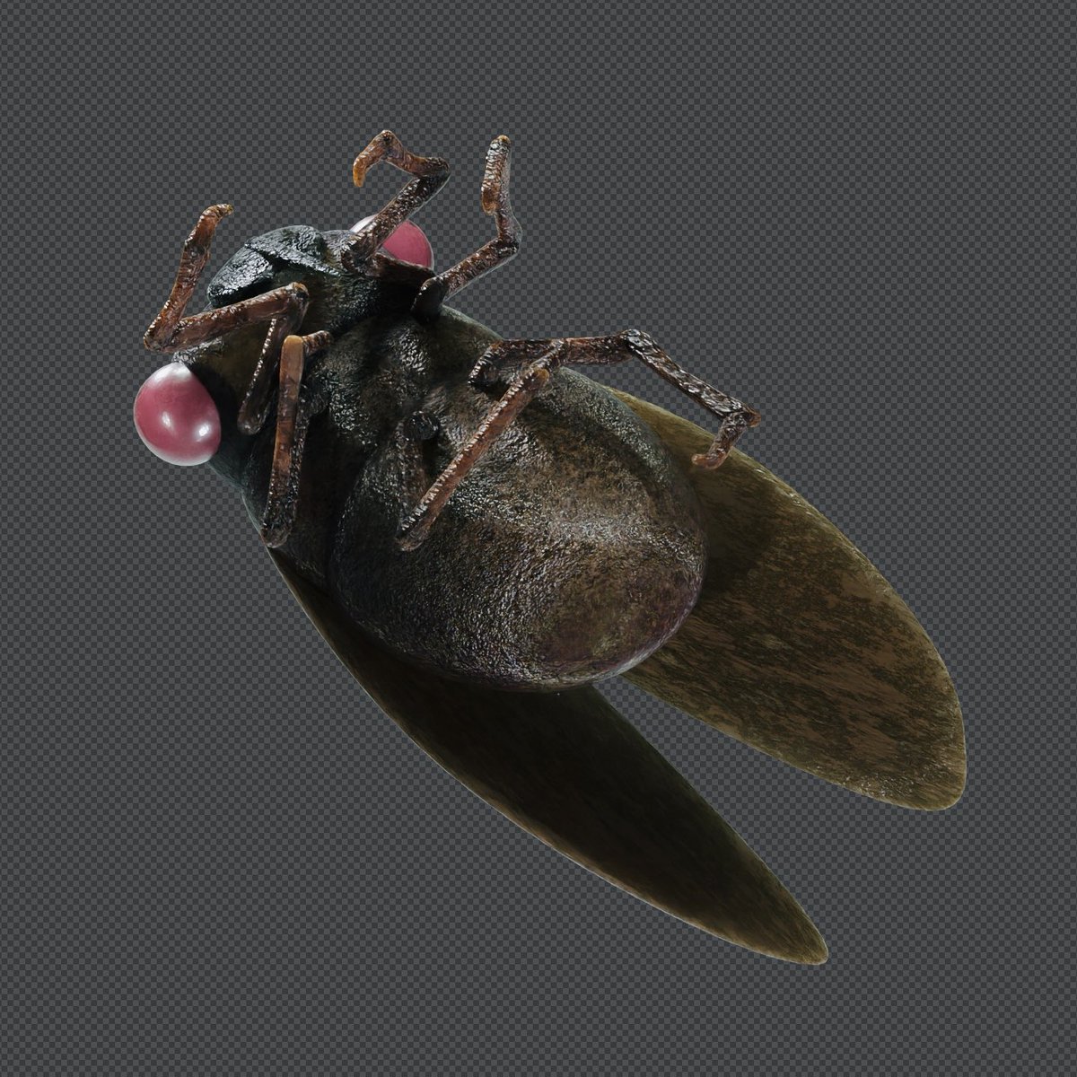 ららら@blender tweet media