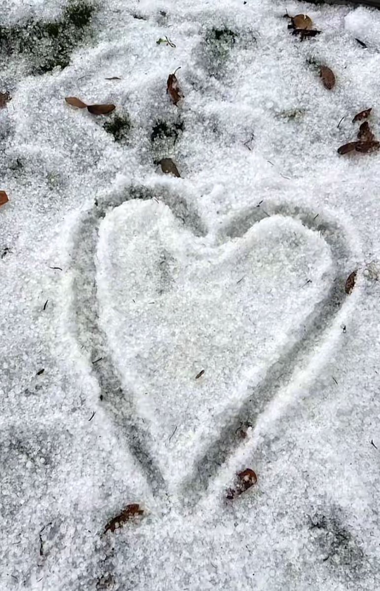 الآنسة شذى tweet media