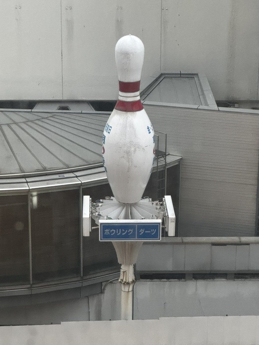 さけやケ tweet media