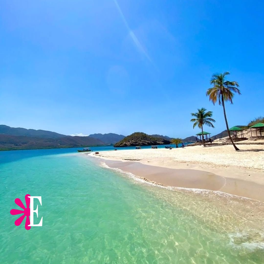 Revista Estampas tweet media