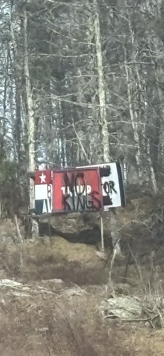 Beekeeping in Maine 🐝 🍯 🐝 tweet media