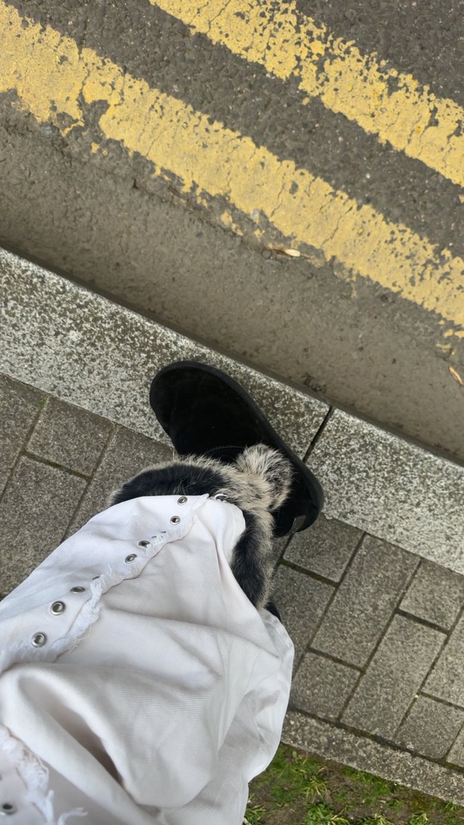 GODDESS👸🏽✨FULL TIME BRAT tweet media