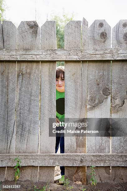 𑣲hanni || is seeing louis tweet media