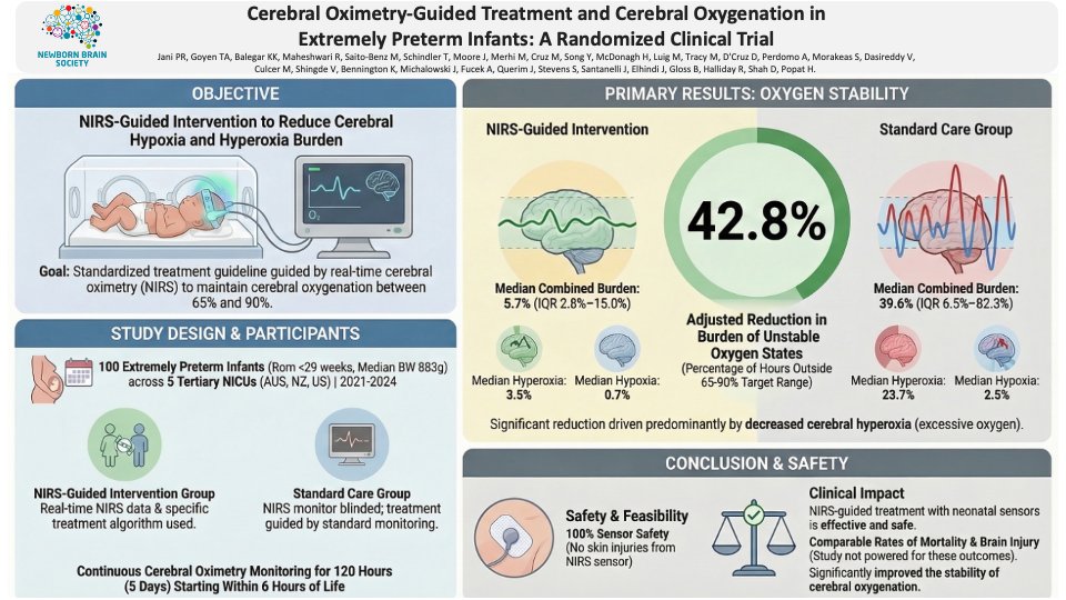 Newborn Brain Society tweet media
