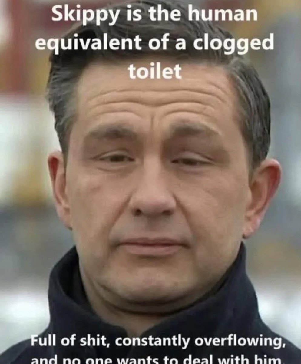 Michael Brethour tweet media