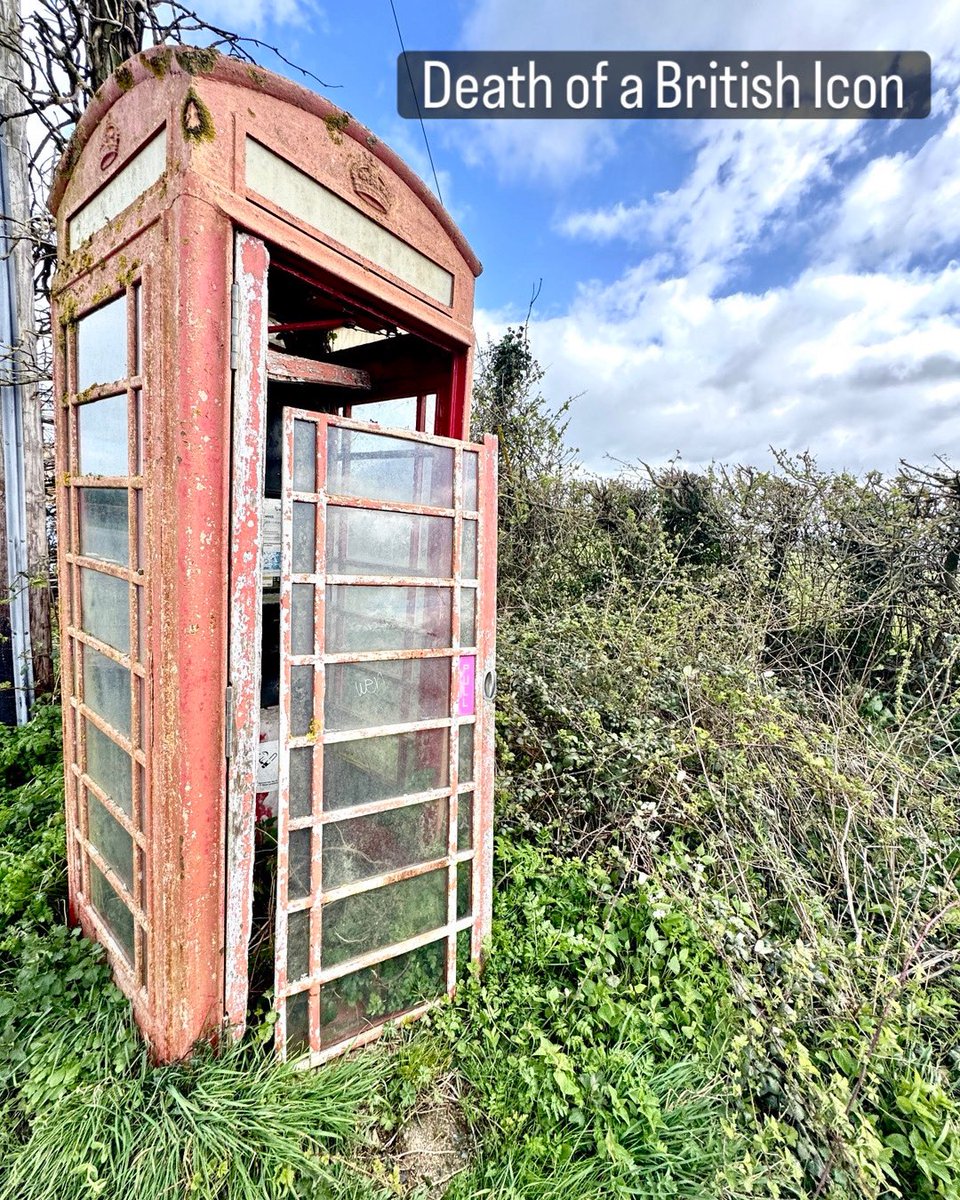 Tim the Yowie Man tweet media