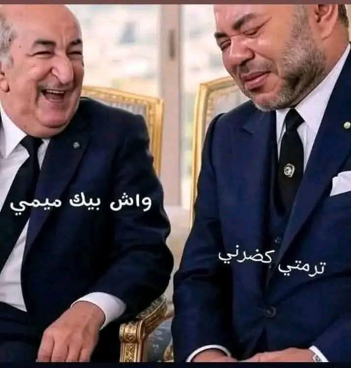 Madjid Zaoui tweet media