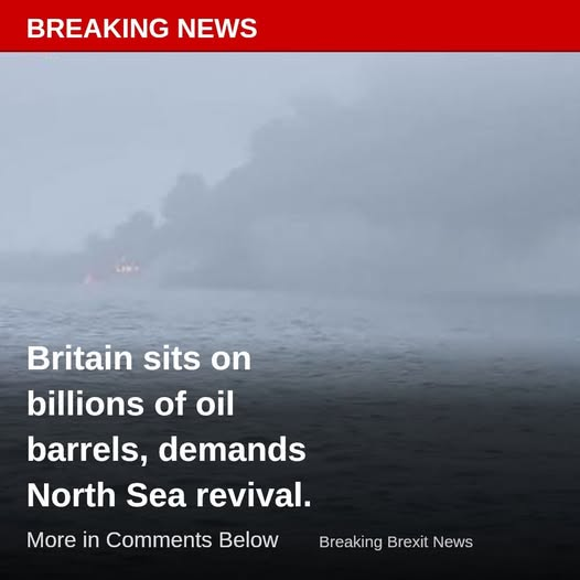 Sovereign 🪙 tweet media