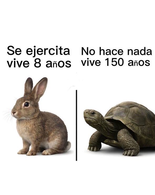 jezucrihto xd tweet media