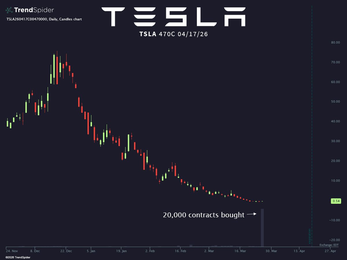 Teslasti Basti tweet media