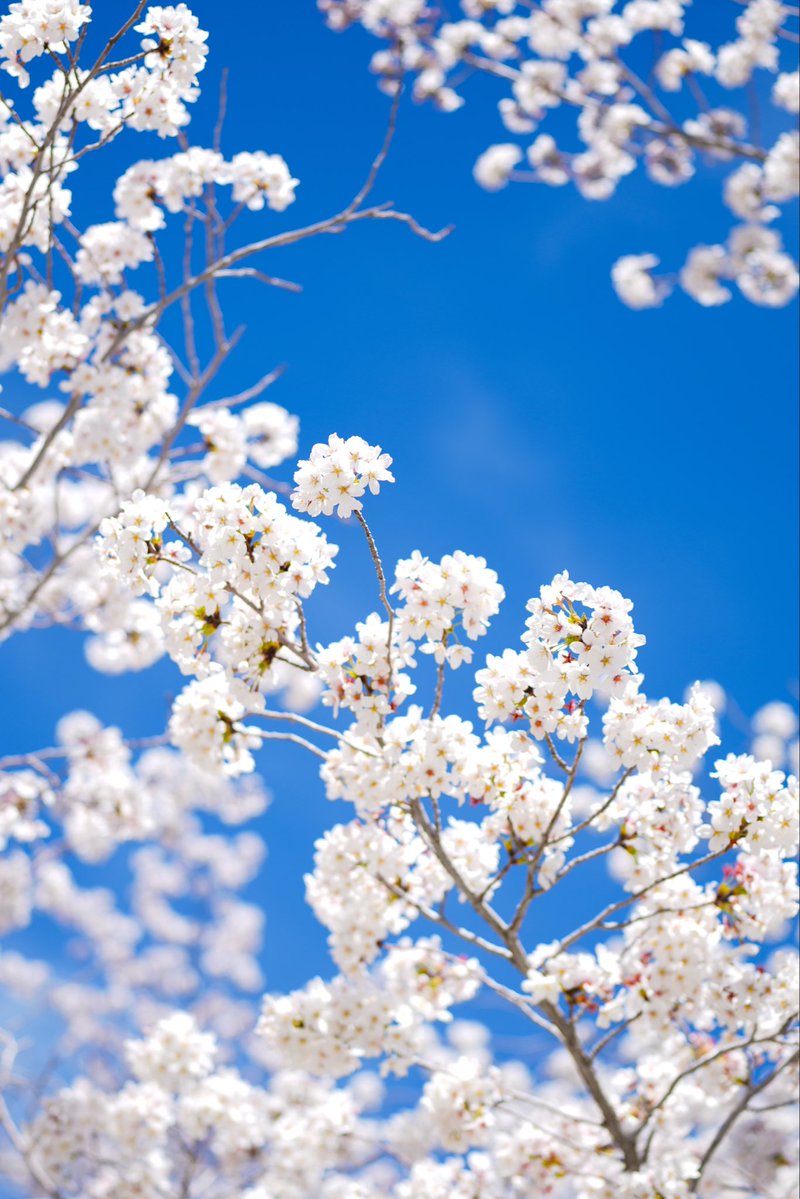 Lt. Gov. Deidre M. Henderson tweet media