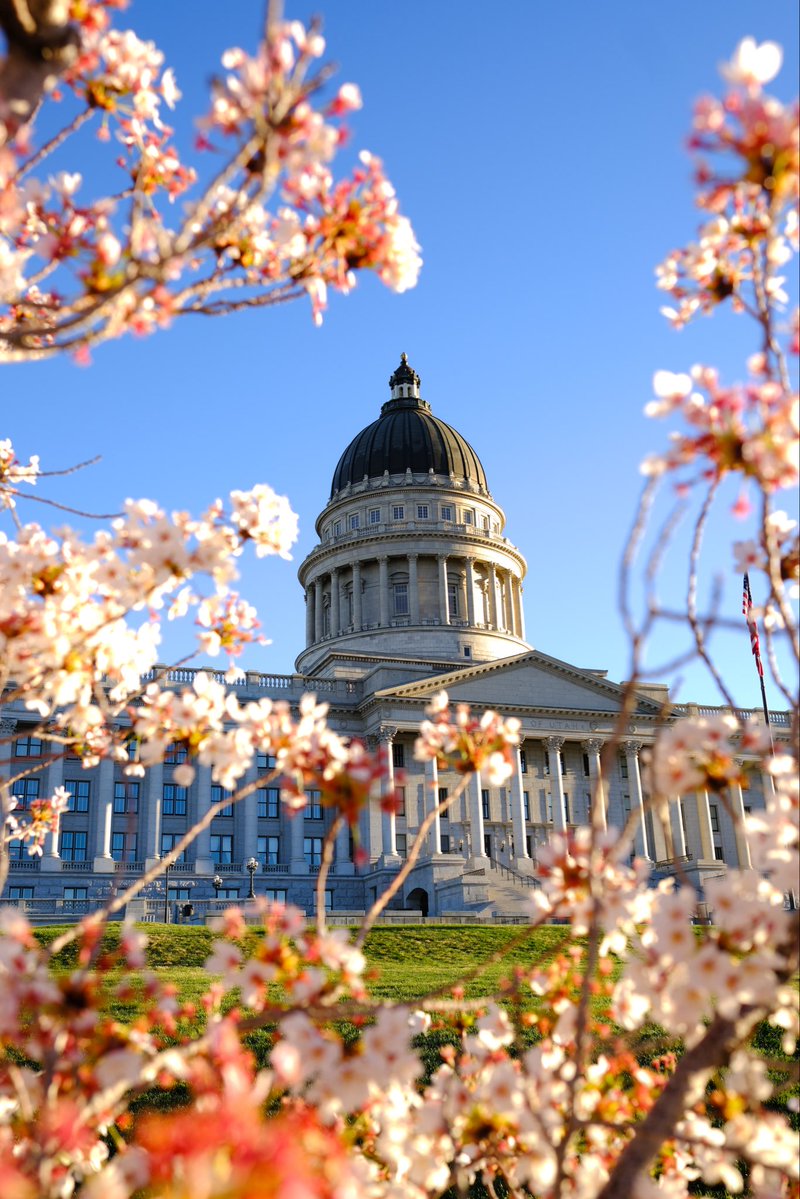 Lt. Gov. Deidre M. Henderson tweet media