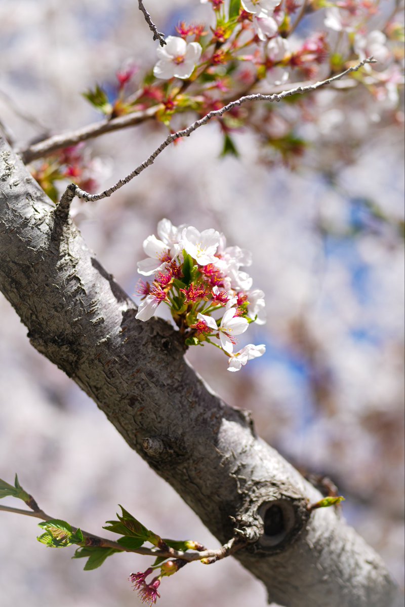 Lt. Gov. Deidre M. Henderson tweet media