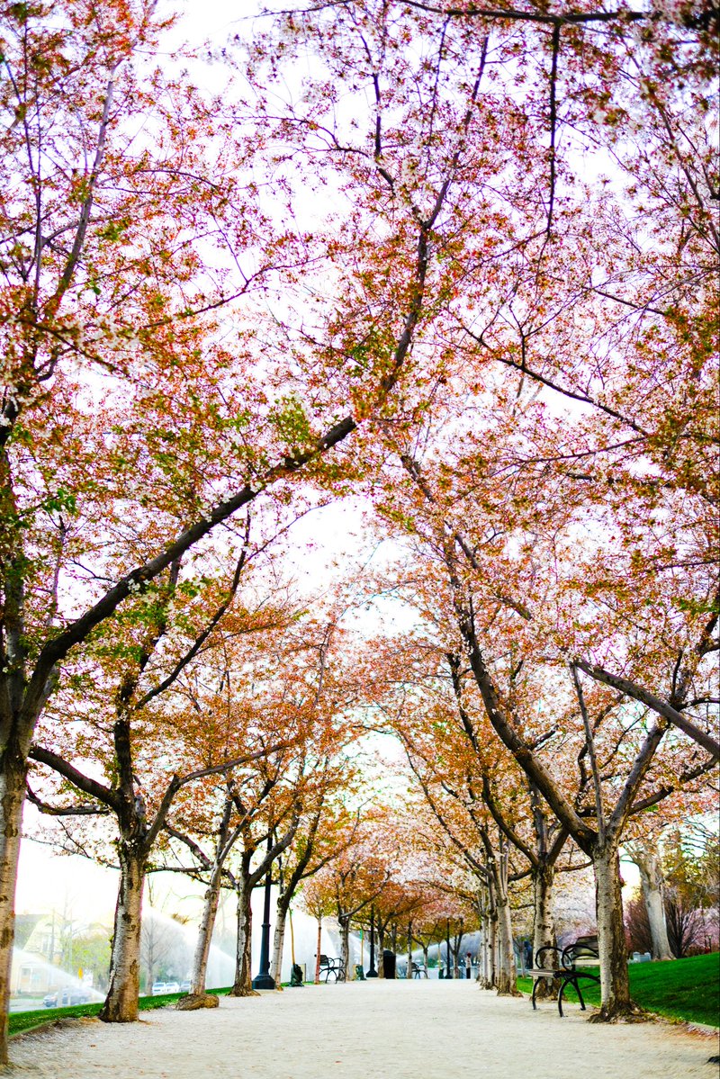 Lt. Gov. Deidre M. Henderson tweet media