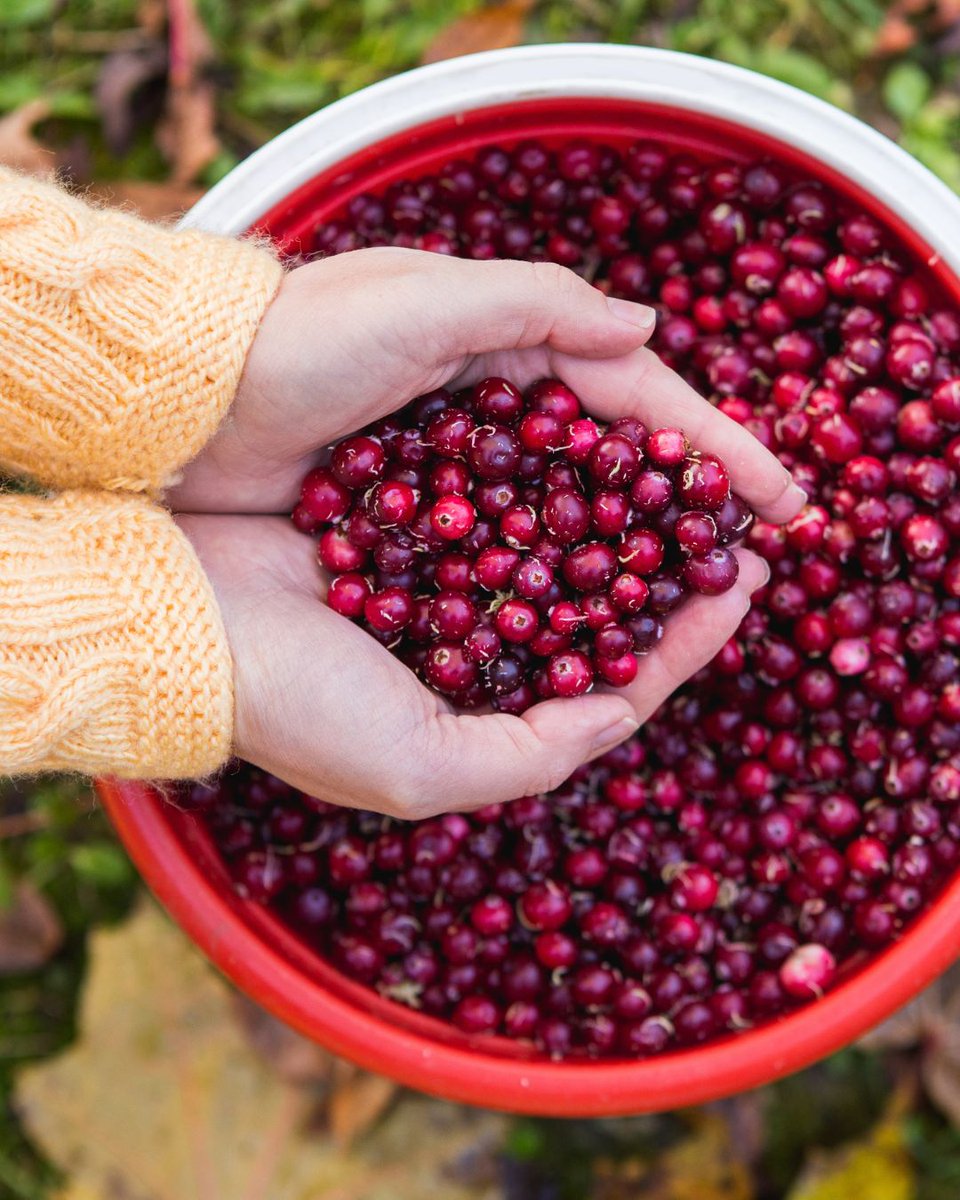 BC Agriculture Council tweet media