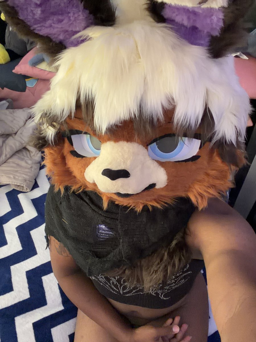 video-coming-out-later-today-fursuit-furry-murrsuit-murrsuiter