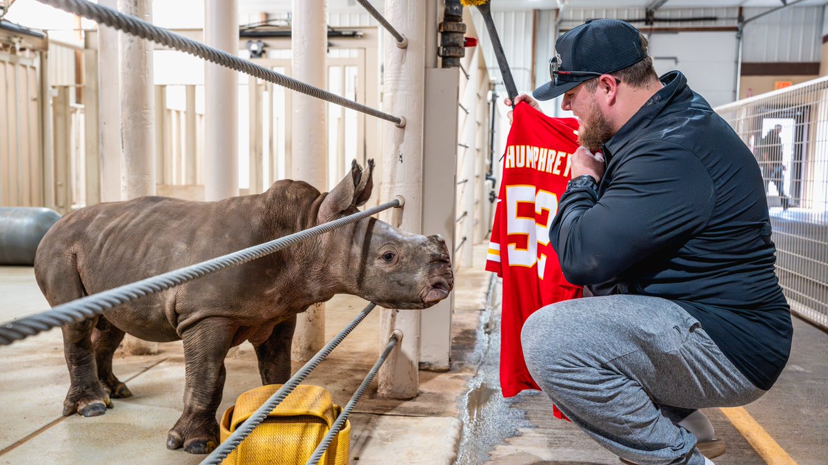 Kansas City Chiefs tweet media