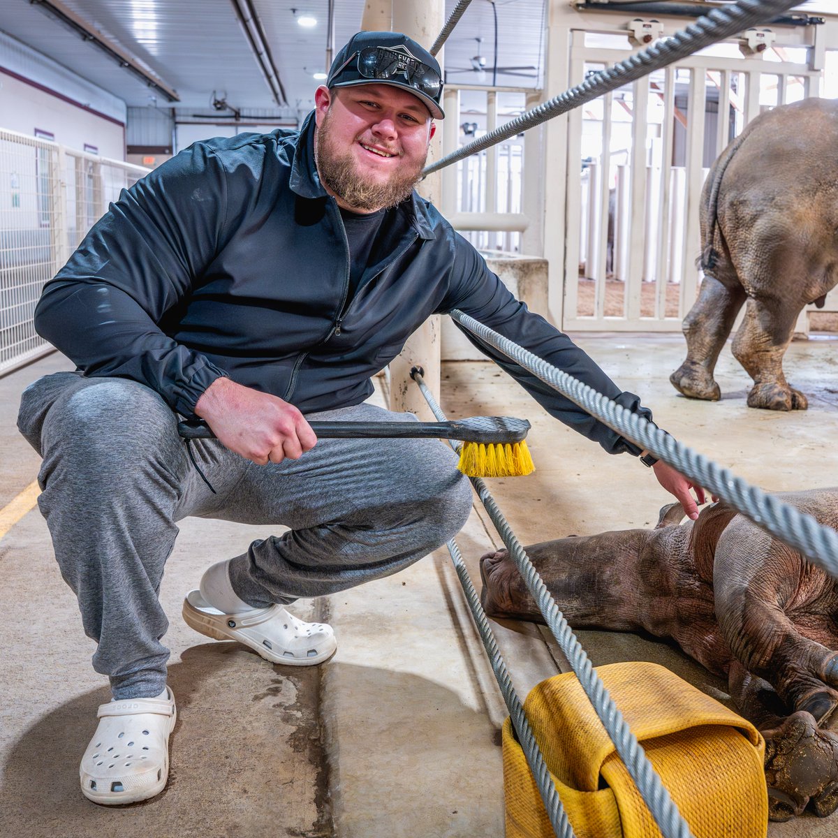 Kansas City Chiefs tweet media