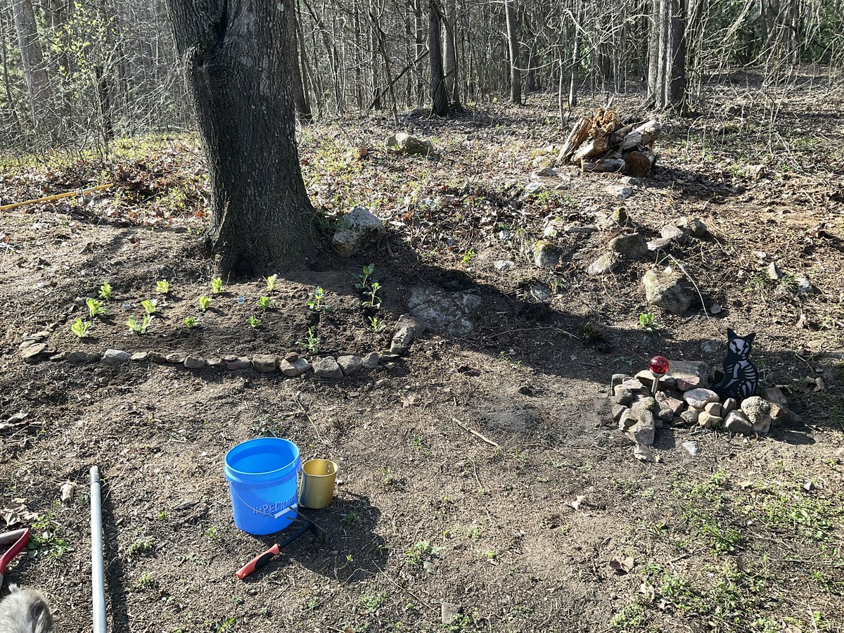 DieWeißeDaisy tweet media