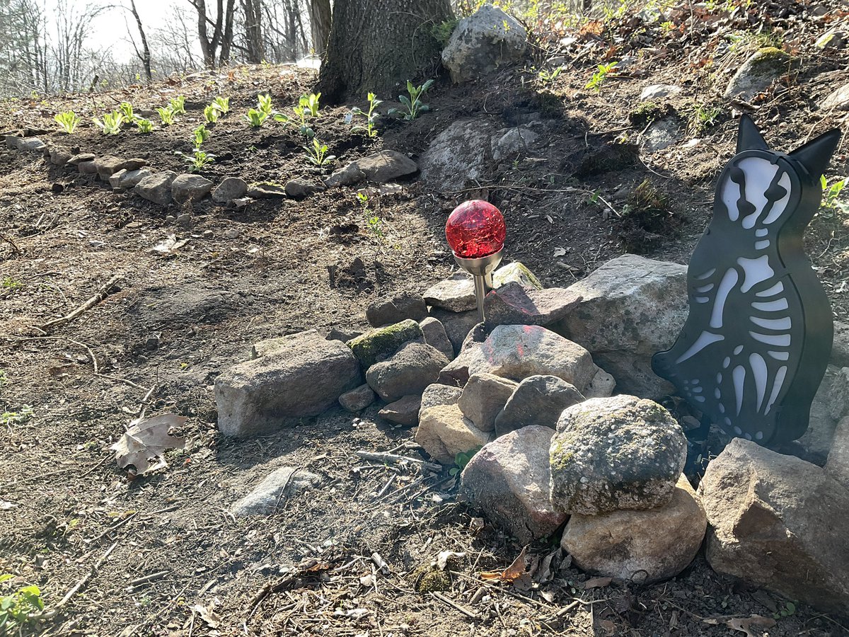 DieWeißeDaisy tweet media