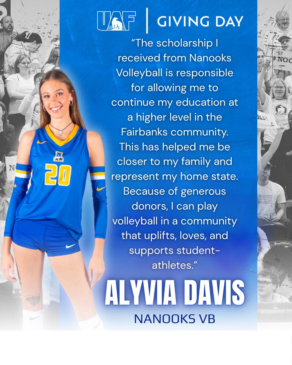 Alaska Volleyball tweet media