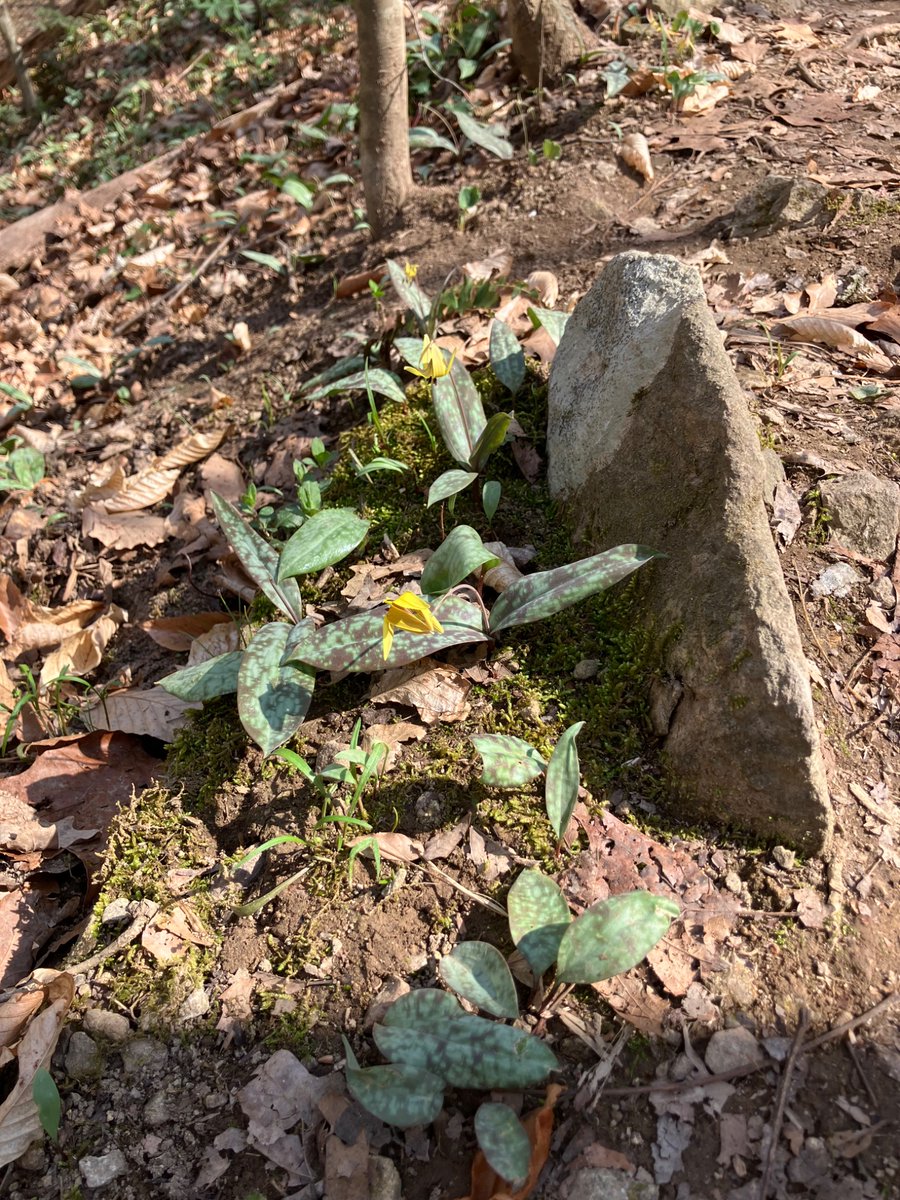 Amy Laura Hall tweet media