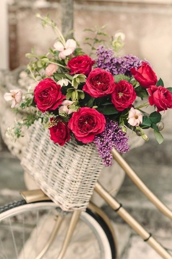 💐🌹مزعله النساء 🖤💛 tweet media