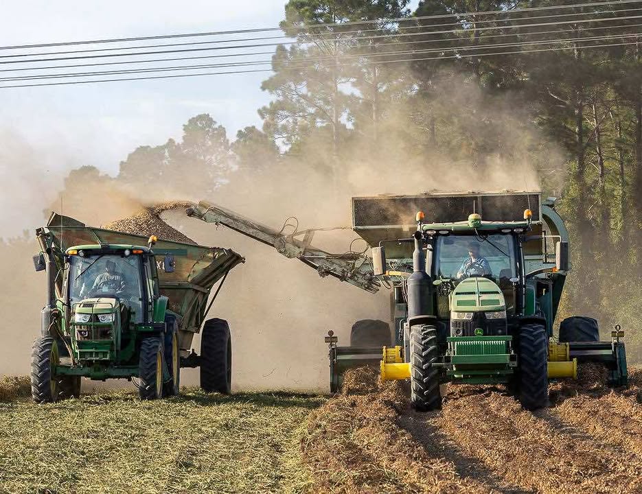 GA Peanut Commission tweet media