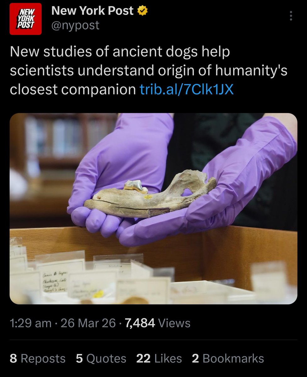 JSCrypto4882 tweet media