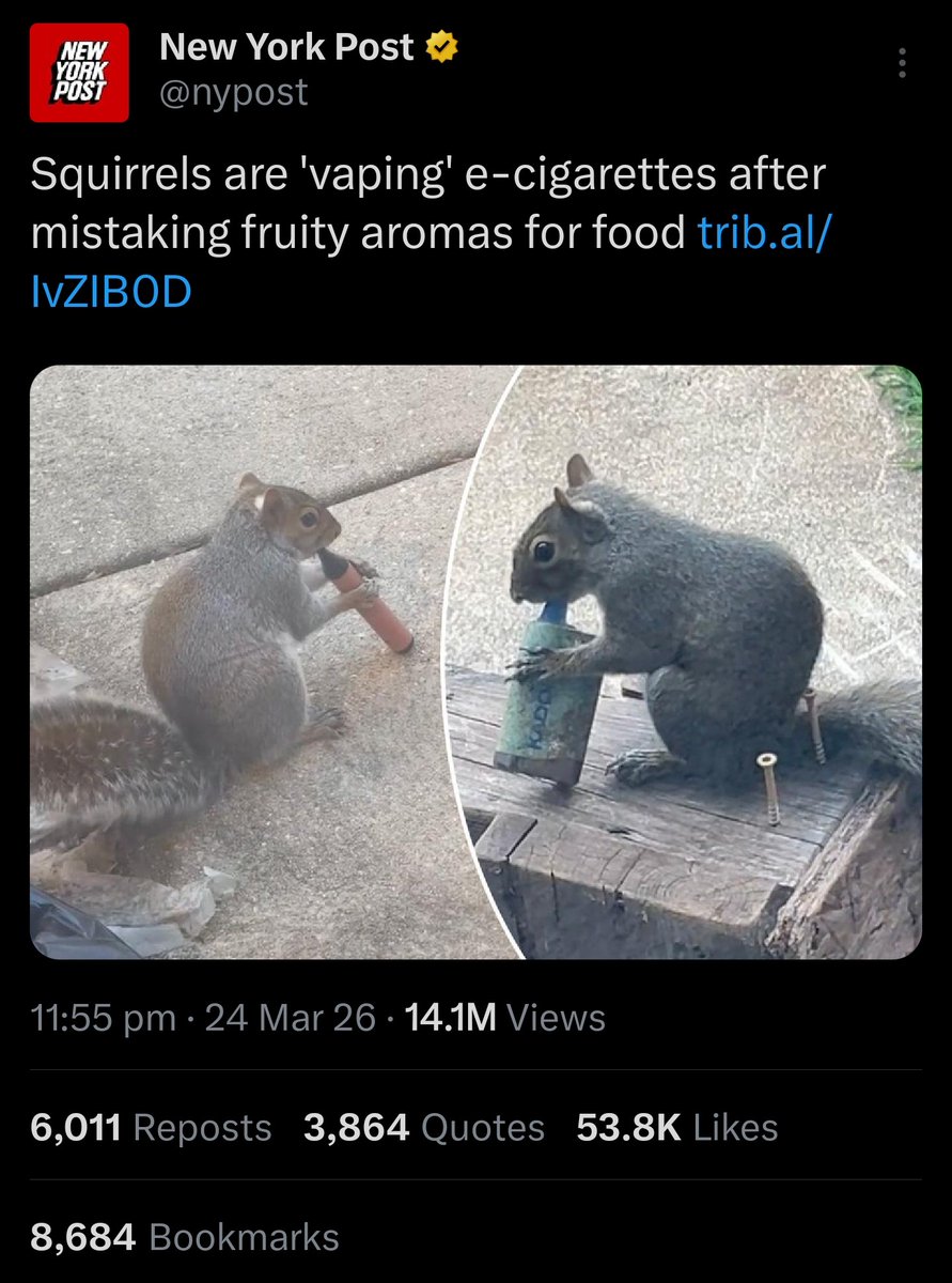 JSCrypto4882 tweet media