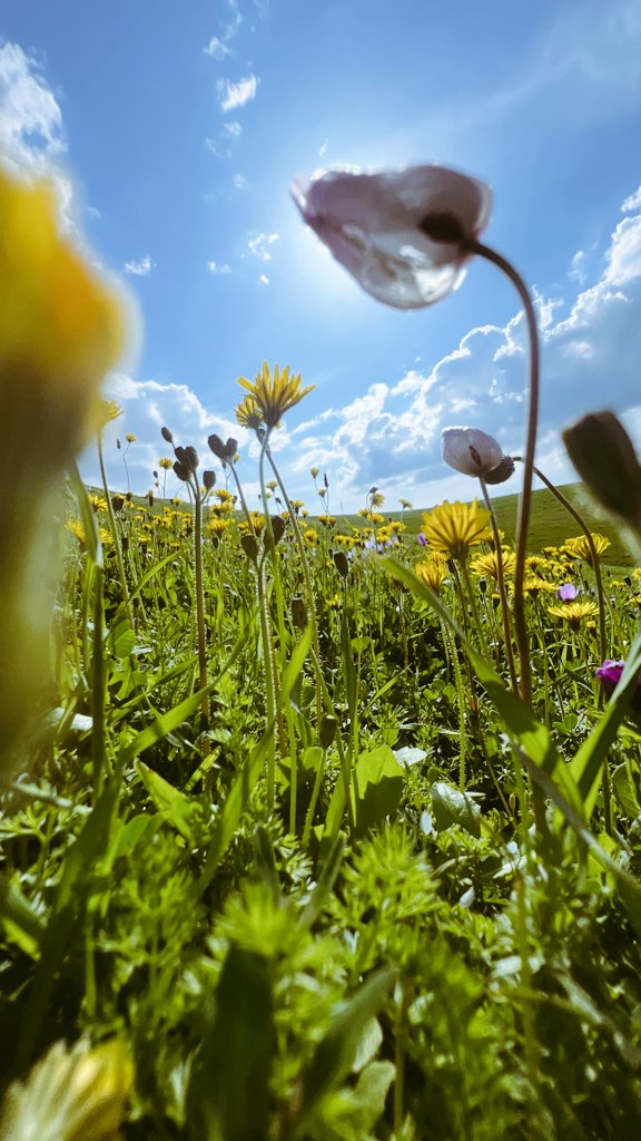 🌣 Alan Barzinji tweet media