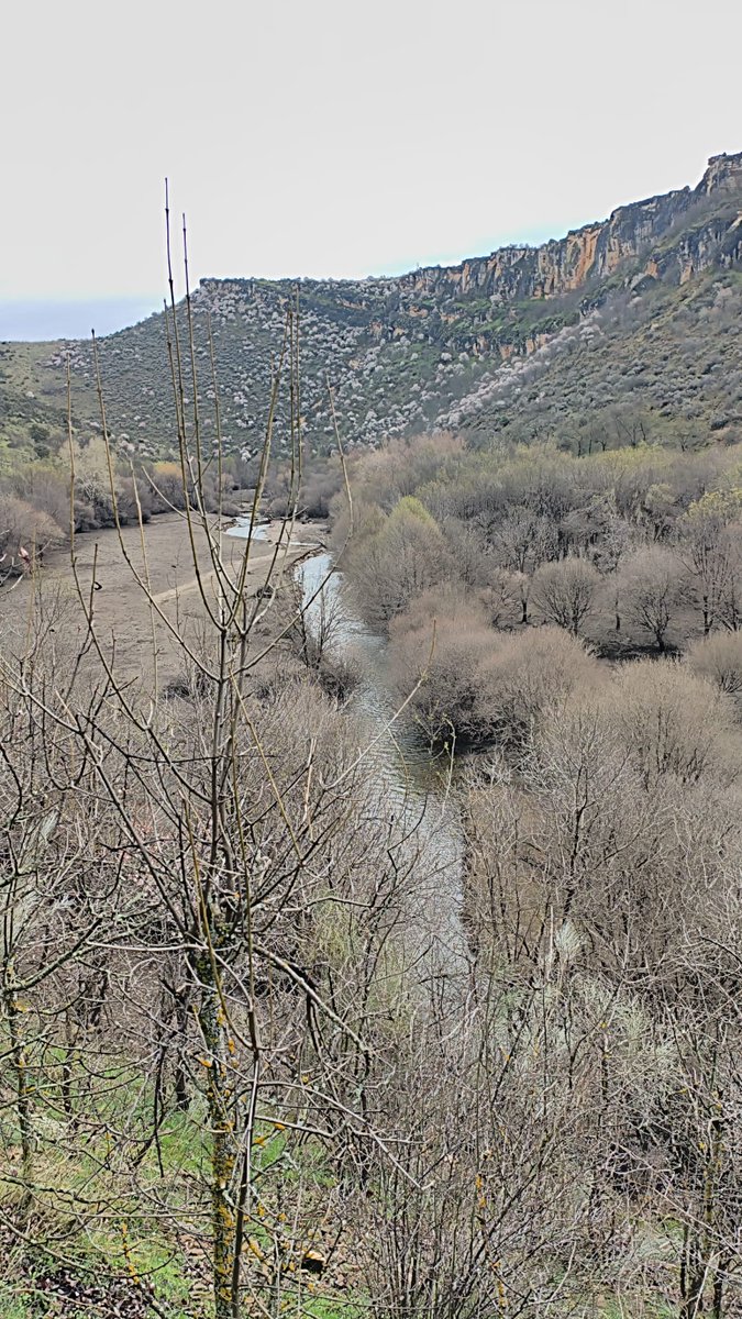 DaniElefantman's tweet photo. El río fluyendo a través del valle del Lozoya #hocesdelLozoya  #hacerfotos #valle  #senderimo #hacerfotos https://t.co/czUGQVdKmd