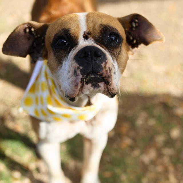 Aurora ⸆⸉ misses Liam ❯❯❯❯ tweet media