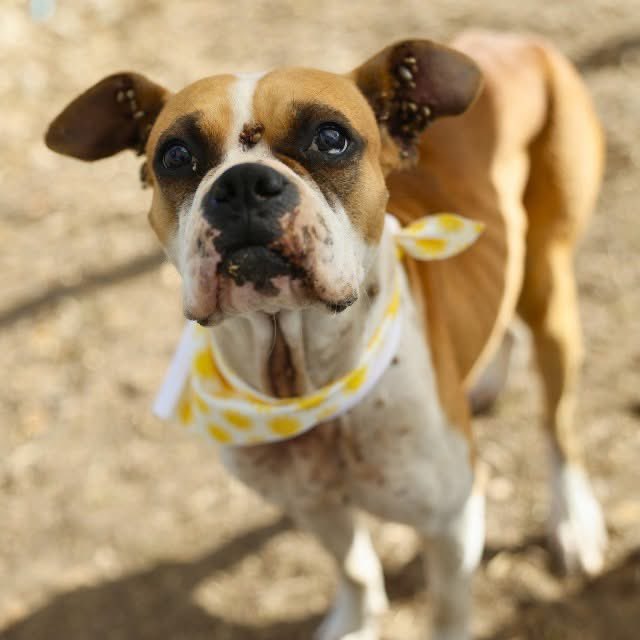 Aurora ⸆⸉ misses Liam ❯❯❯❯ tweet media