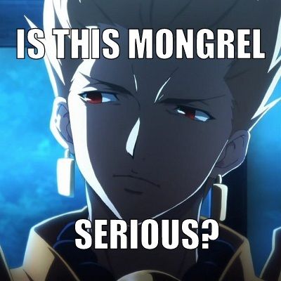 Lord Syfer 🎮 👻💯 tweet media