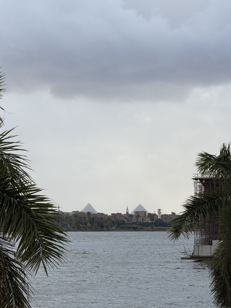 Ahmed Hany tweet media