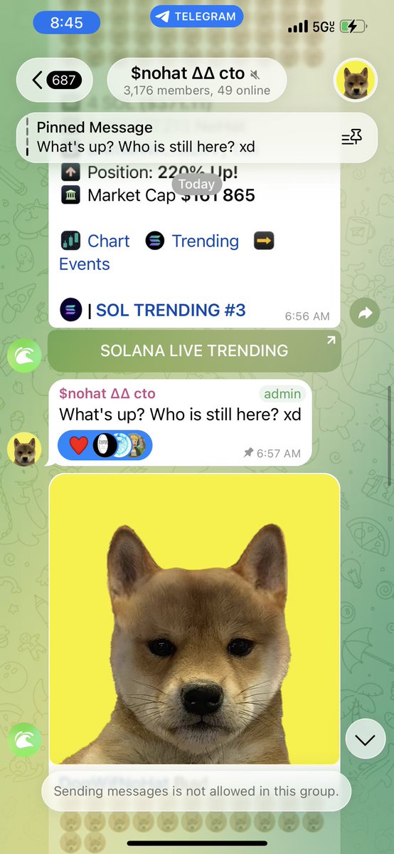 CRYPTO IS MY RETIREMENT - #CIMR tweet media