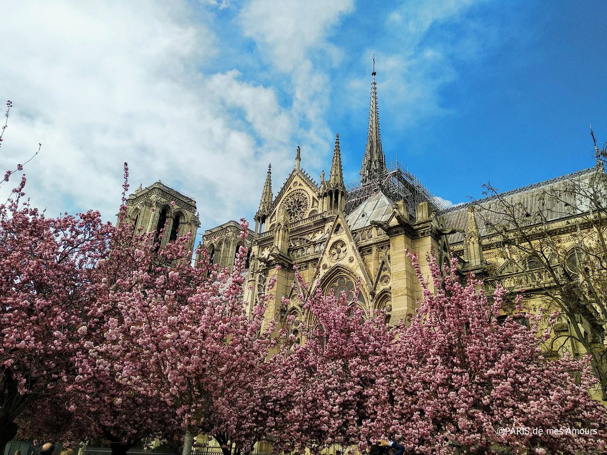 Gloria  C. tweet media