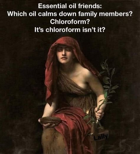 Kate🦋M© tweet media