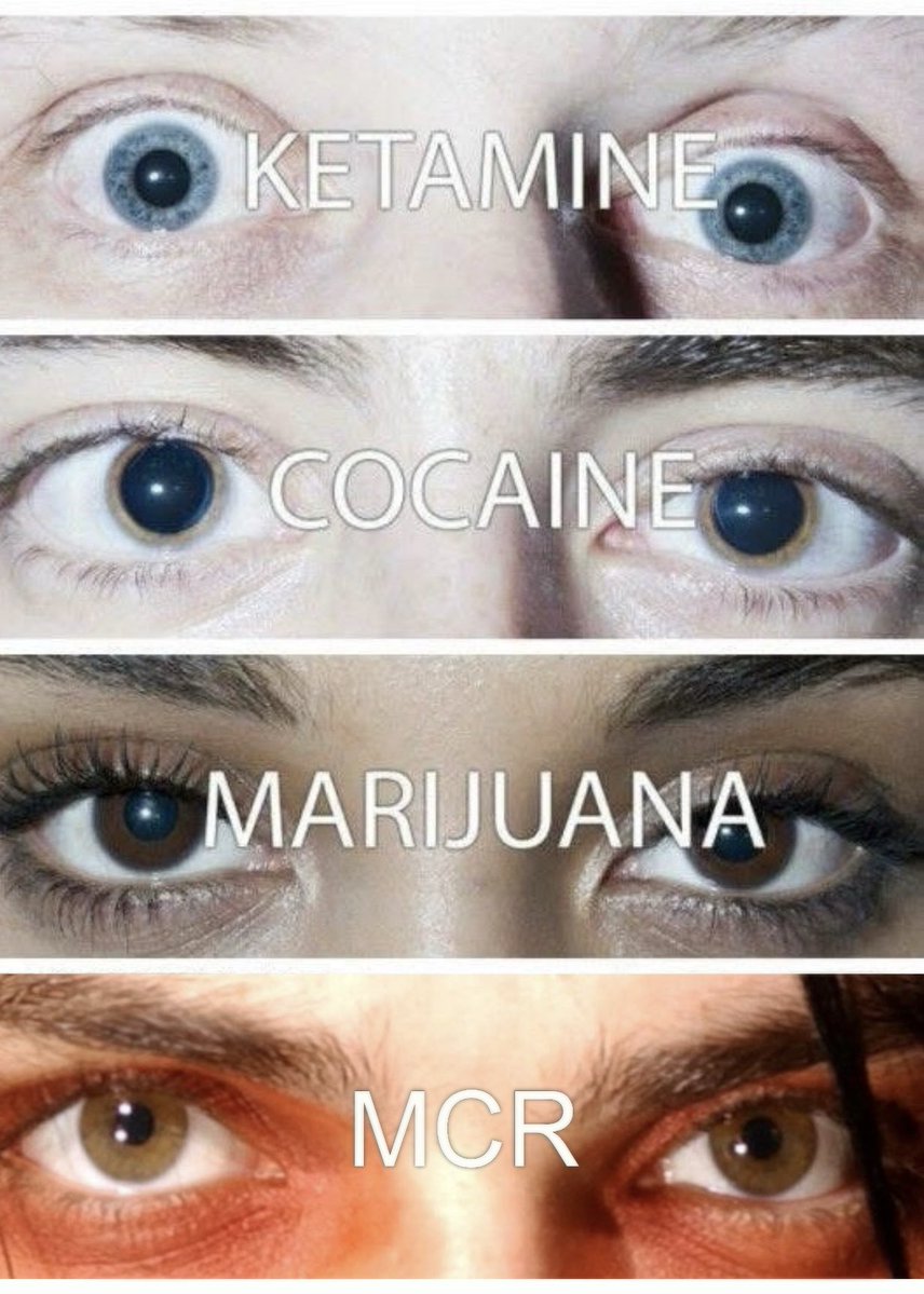 avery 🗡️ mcr nashville + ltl tweet media