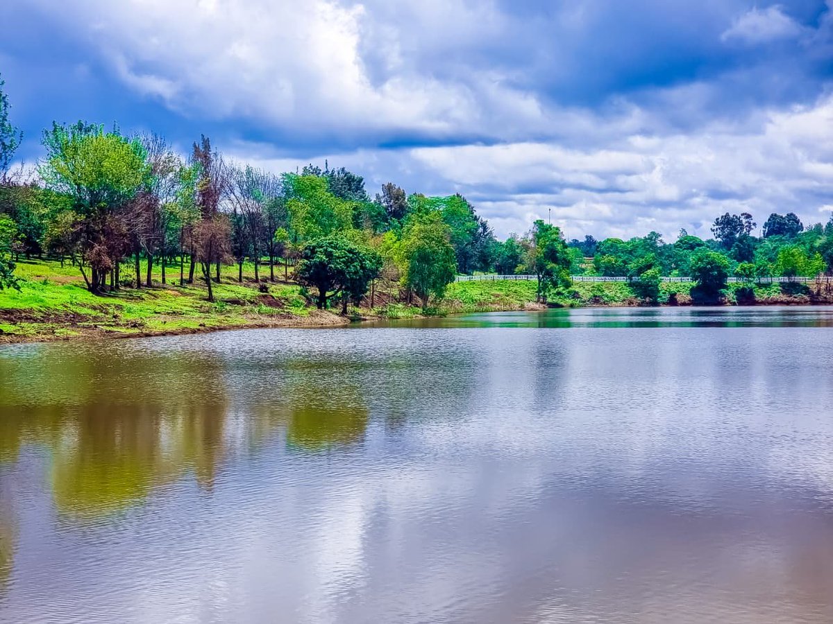 JoeBoy🫎 tweet media