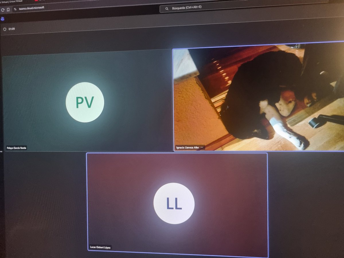 ElPandaP tweet media