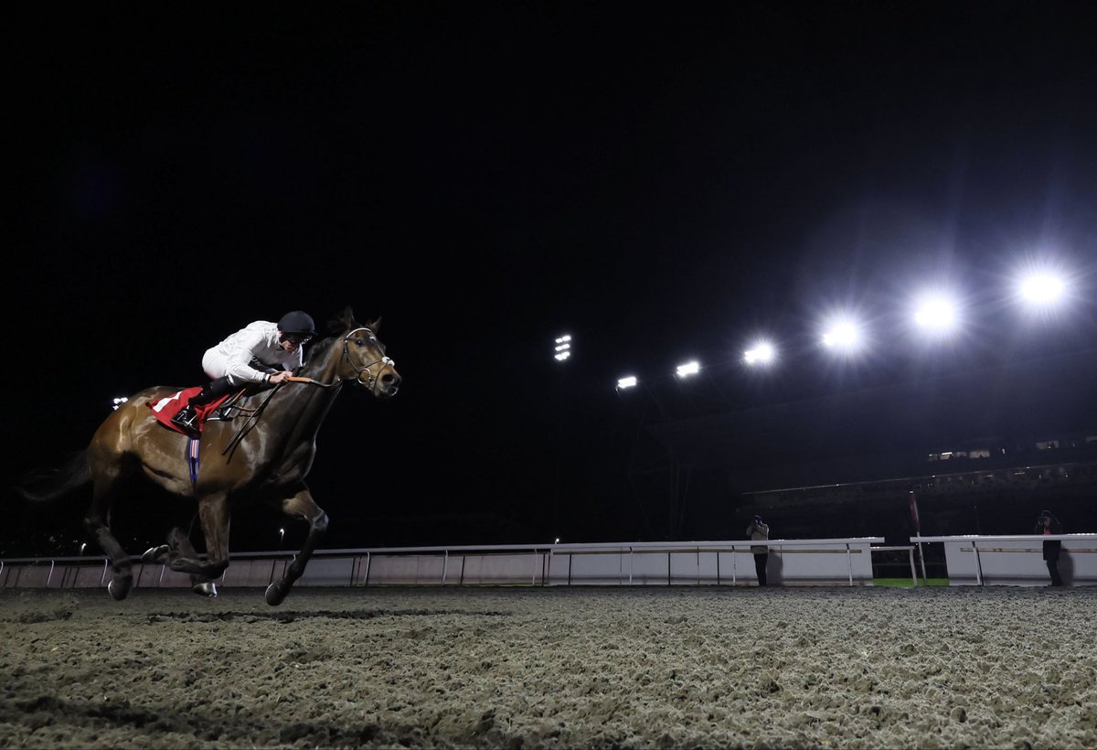 British Horseracing Authority tweet media